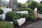modernes Gartenkonzept