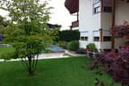Bepflanzung Bild 26