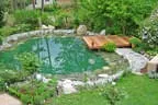 Eder`s NATUR PUR (Teichtyp I) Bild 4