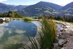 Eder`s NATURNAH (Teichtyp II) Bild 27
