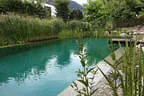 Naturpool mit Becken