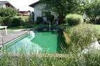 Naturpool im Garten