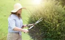 Gartenpflege